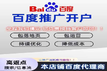 百度竞价排名服务：实战案例解析与优化技巧